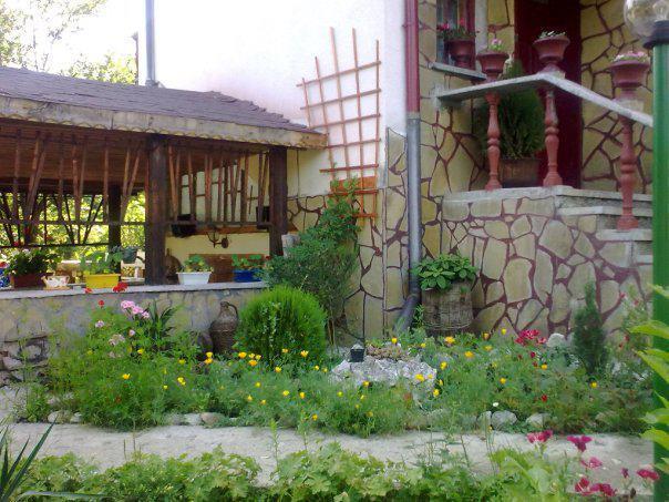 Veselata Guest House دولنا بانيا المظهر الخارجي الصورة