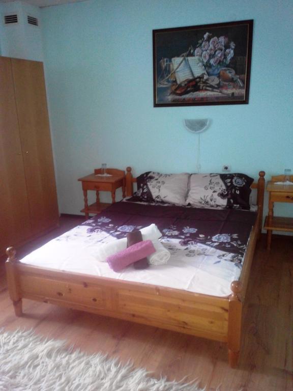 Veselata Guest House دولنا بانيا المظهر الخارجي الصورة