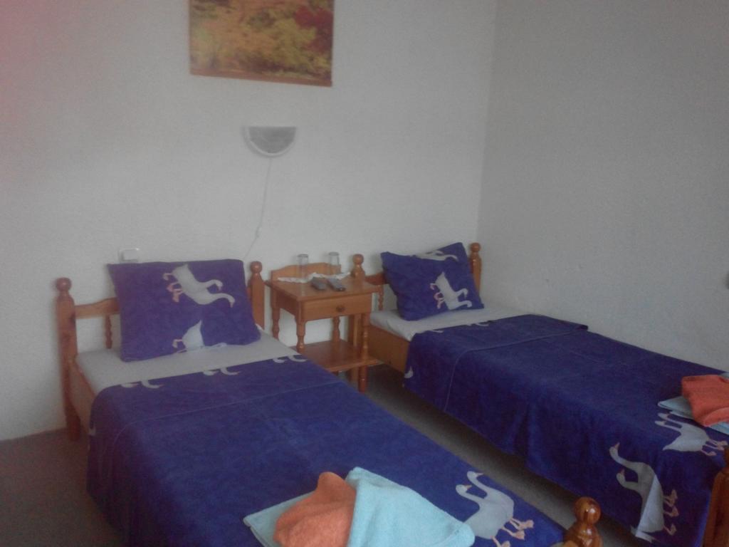 Veselata Guest House دولنا بانيا المظهر الخارجي الصورة