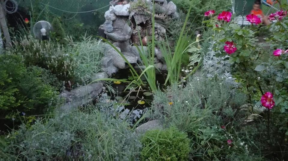 Veselata Guest House دولنا بانيا المظهر الخارجي الصورة