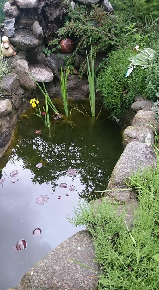 Veselata Guest House دولنا بانيا المظهر الخارجي الصورة