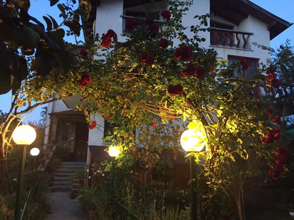 Veselata Guest House دولنا بانيا المظهر الخارجي الصورة